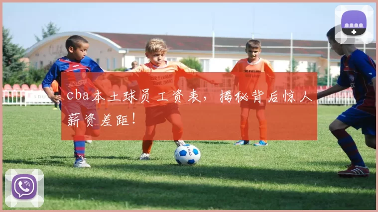 cba本土球员工资表,揭秘背后惊人薪资差距!