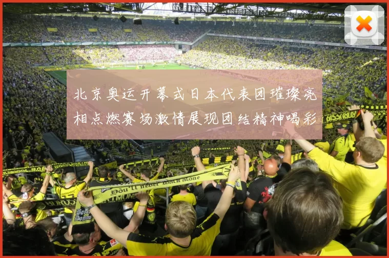 北京奥运开幕式日本代表团璀璨亮相点燃赛场激情展现团结精神喝彩