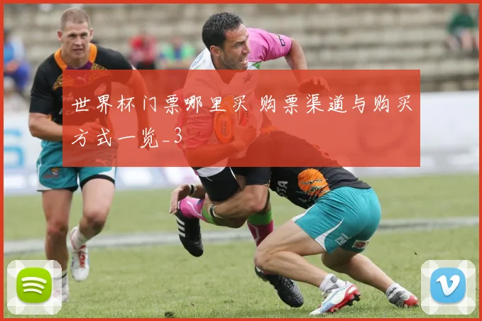 世界杯门票哪里买 购票渠道与购买方式一览_3