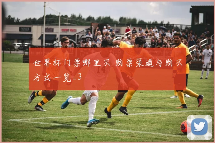 世界杯门票哪里买 购票渠道与购买方式一览_3